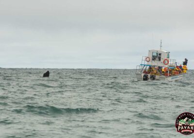 Ushuaia com Pavani Adventure