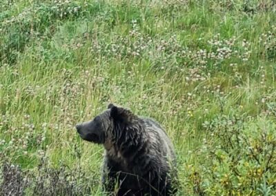 Canadá com Pavani Adventure