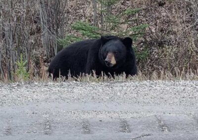 Canadá com Pavani Adventure