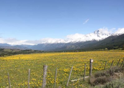 Ares Austrais com Pavani Adventure