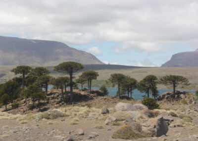 Ares Austrais com Pavani Adventure