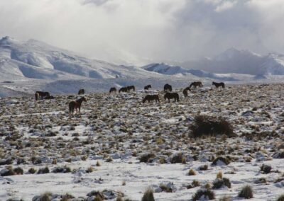 Patagonia no inverno