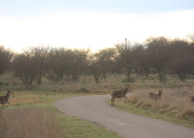 Patagonia no inverno