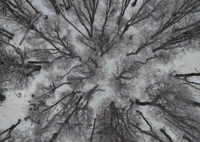 Patagonia no inverno