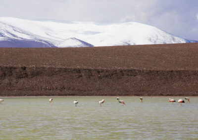 Ares de Mendoza com Pavani Adventure