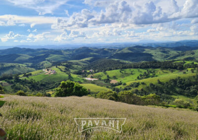 Cunha com Pavani Adventure