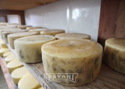 Aiuruoca com Pavani Adventure