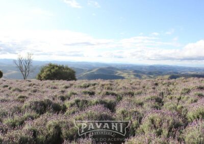 Cunha com Pavani Adventure