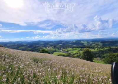 Cunha com Pavani Adventure