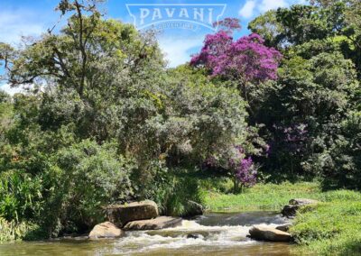 Cunha com Pavani Adventure