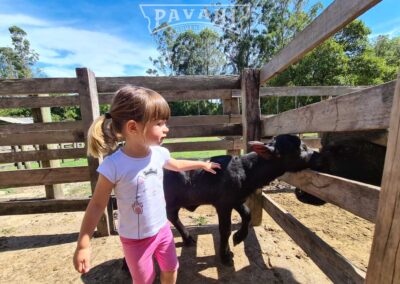 Cunha com Pavani Adventure