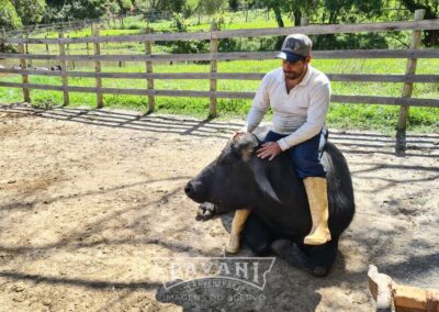 Cunha com Pavani Adventure